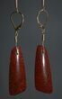 Bright Red Agatized Dinosaur Bone Earrings #5250-3